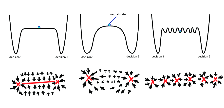 Different topological flow structures