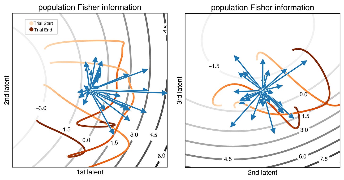 Instantaneous Fisher information visualization